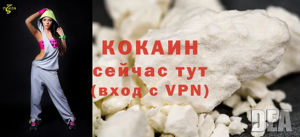 твердый Весьегонск