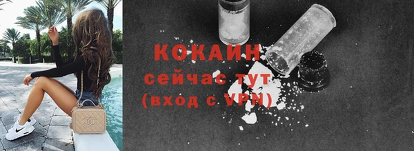 ПСИЛОЦИБИНОВЫЕ ГРИБЫ Пересвет