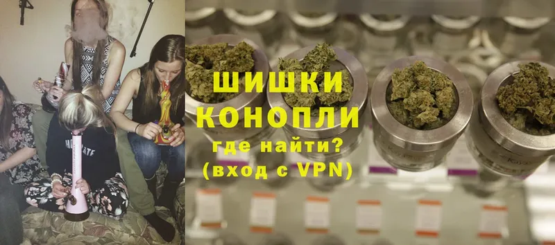 Бошки марихуана Amnesia  где купить наркоту  Болхов 